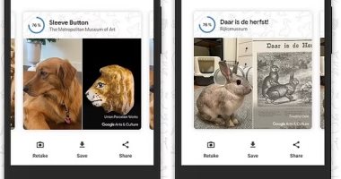 جوجل تطلق ميزة جديدة تكشف عن اللوحات الشهيرة الشبيهة بالحيوانات الأليفة