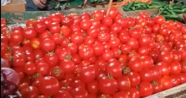 تراجع أسعار الطماطم والكيلو يصل للمستهلك بسعر يتراوح من 3 لـ5 جنيهات