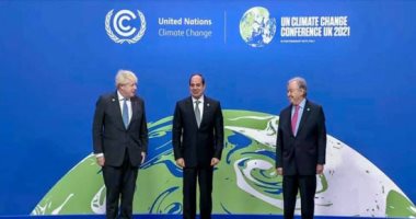 مجلس السلم والأمن الأفريقي يشيد بدعم مصر لقضايا تغير المناخ العالمى