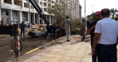 محافظ أسوان يتفقد الأضرار بقرى غرب أسوان ومهلة 72 ساعة لحصر المنازل.. صور