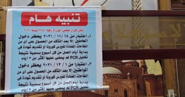 كهرباء جنوب القاهرة: 1 ديسمبر لن يسمح بدخول المواطنين الشركة دون كارت التطعيم