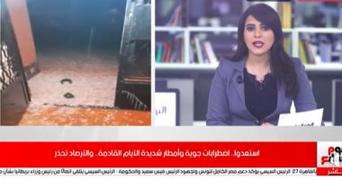 انخفاض درجات الحرارة وشبورة بكافة الأنحاء والعظمى بالقاهرة 28 درجة.. فيديو