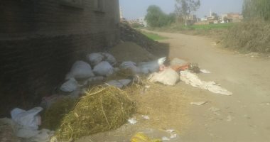 شكوى من انتشار القمامة بمدخل قرية مبارك السنبلاوين بالدقهلية.. ورئيس المدينة يرد