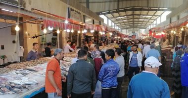 زحام كبير بسوق الأسماك في بورسعيد والبوري يتصدر المبيعات.. لايف وصور 