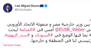متحدث الاتحاد الأوروبى للشرق الأوسط: مصر شريك لنا فى المنطقة وخارجها
