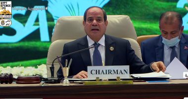 الرئيس السيسى: مصر تسعى لتنمية التجارة البينية بين الدول الأفريقية