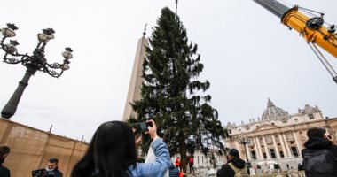 إيطاليا تتزين من أجل الكريسماس بشجرة عيد الميلاد بطول 28 مترا فى الفاتيكان