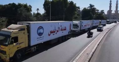قافلة مساعدات "مستقبل وطن" تواصل دعمها لأهالى أسوان.. فيديو