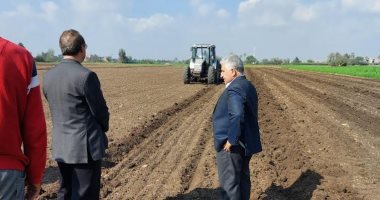"زراعة الشرقية": استهداف زراعة 48 ألف فدان من محصول القمح على المصاطب