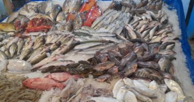أسعار الأسماك في مصر اليوم الأحد بسوق الجملة..تراجع بعض الأصناف