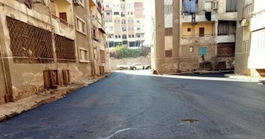 حياة كريمة .. رئيس حى شرق أسيوط : رصف 17 شارعا بمنطقة نزلة عبداللاه