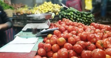 شعبة الخضر: سعر البطاطس من 3 إلى 5 جنيهات.. والأسعار تتجه للانخفاض