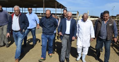 محافظ بورسعيد يتفقد محطة تسمين الماشية .. تعرف على التفاصيل .. صور