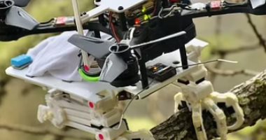 روبوت هجين مستوحى من الطيور يمكن استخدامه فى مهام البحث والإنقاذ