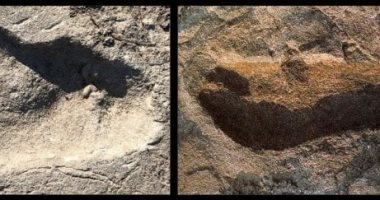 "سلف بشرى" مجهول ترك آثار أقدام عمرها 3.7 مليون عام فى إفريقيا