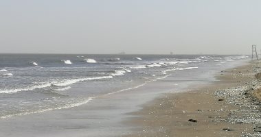 النورس يجلس على مياه البحر وسط أجواء باردة.. اعرف حالة الطقس فى بورسعيد "لايف" 