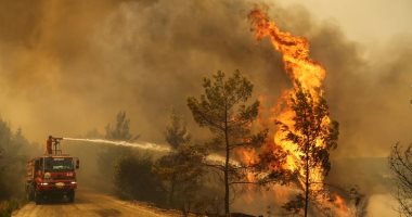 ارتفاع عدد ضحايا حرائق الغابات فى الجزائر إلى 38 شخصا