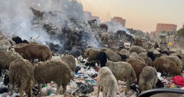 القمامة تغلق شارع الأربعين بأوسيم ومحافظة الجيزة توجه برفعها