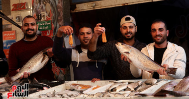 سعر البطارخ يبدأ بـ350 جنيها والبورى الفوارغ بـ25.. جولة بسوق السمك ببورسعيد.. فيديو