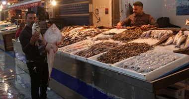 "السمكة الضاحكة"..  ملكة الأسماك تبهر زوار سوق السمك فى بورسعيد