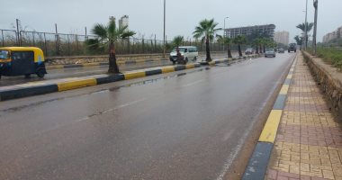 طوارئ لمواجهة التقلبات الجوية بالإسكندرية بعد سقوط الأمطار.. لايف وصور