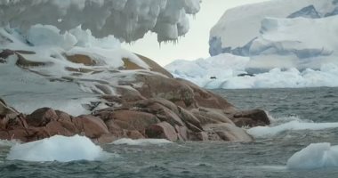 علماء يحذرون من خطر انهيار "نهر القيامة الجليدى" فى القطب الجنوبى.. صور