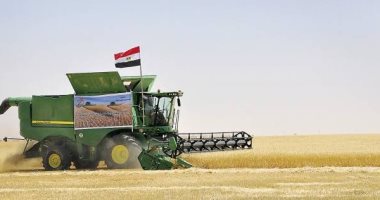 خريطة مصر الزراعية لـ10 محاصيل رئيسية عام 2020.. القمح ارتفع إنتاجه لـ9.1 مليون طن بزيادة 6.3%.. وقصب السكر لـ15.9 مليون طن.. وأنتجنا 6.8 مليون طن.. والصوب زادت لـ340.4 ألف طن.. و1.35 مليون طن إنتاج الموز