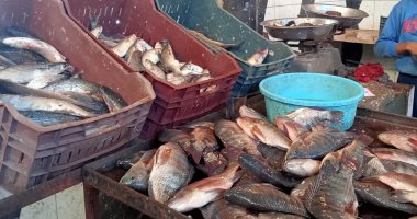 أسعار الأسماك فى الأسواق "طازة ومجمد".. أرخص وأغلى وأغرب نوع (فيديو وصور)