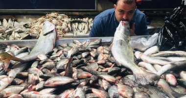 انخفاض أسعار الأسماك باالإسماعيلية وإقبال كبير على البورى والسهلية.. لايف