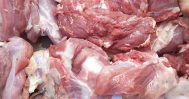بيطري المنيا يحرر 15 محضرا خلال حملات رقابية على أسواق عرض وبيع اللحوم