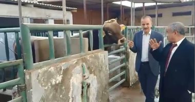 محافظ أسيوط: استمرار العمل بمشروع التحسين الوراثى لسلالات الماشية 