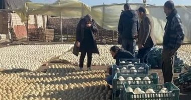 نيابة تلا: وضع مصنع الجبن بقرية سماليج تحت الحراسة لحين انتهاء التحقيقات