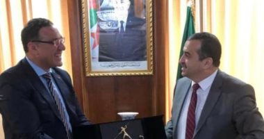 السفير المصرى بالجزائر يبحث مع مجلس "تجديد الاقتصاد" تعزيز التعاون الثنائى