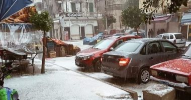 "قلبت على أوروبا".. الثلوج تغطى شوارع الإسكندرية وتكتسى باللون الأبيض