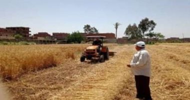 الزراعة: حوافز القيادة السياسية للمزراعين هذا العام تزيد من معدلات توريد القمح