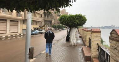 أمطار متوسطة بمحافظة الغربية وسماء ملبدة بالغيوم.. لايف