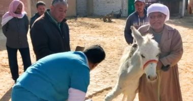 علاج 1456 من الماشية والدواجن بالمجان ضمن قوافل جامعة المنصورة بالوادى الجديد