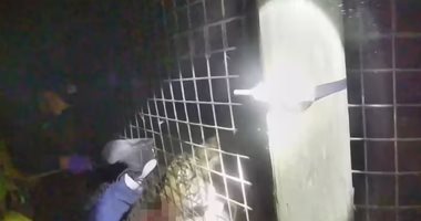 شرطى يوثق لحظة إنقاذ حياة عامل حديقة حيوان من أنياب نمر.. فيديو وصور
