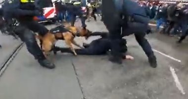 كلب ينهش ذراع أحد المتظاهرين ضد قيود كورونا فى هولندا.. فيديو