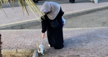 دنيا سمير غانم توثق لحظات إطعام شقيقتها للقطط في السعودية: أحن قلب في العالم