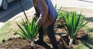إطلاق حملة لتنظيف وزراعة الحدائق بالإسكندرية