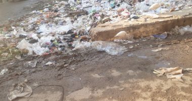 شكوى من انتشار القمامة فى شارع سعد زغلول ببنها.. والمحافظ يرد