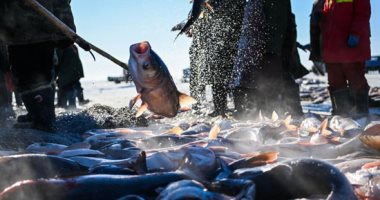 الصيد الجليدى.. كرنفال الصيد االشتوى للأسماك من البحيرات الثلجية