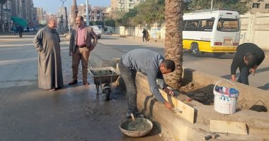 حملات نظافة ورفع كفاءة الإنارة وتسوية الطرق بعدد من قرى كفر الشيخ.. صور