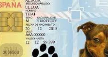قانون "بطاقة الهوية DNI" للكلاب والقطط يدخل حيز التنفيذ فى إسبانيا.. اعرف التفاصيل