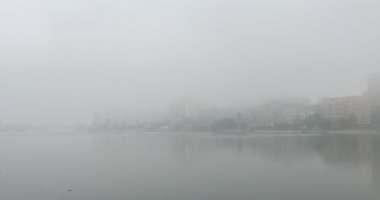 أجواء باردة وشبورة مائية تغطى سماء محافظة الغربية.. لايف وصور