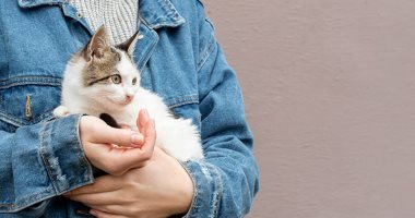 دراسة تكشف السر وراء حاسة الشم القوية لدى القطط