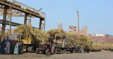 محافظ المنيا: مصنع سكر أبو قرقاص ينتج ما يزيد عن ثلث إجمالى إنتاج مصر من السكر