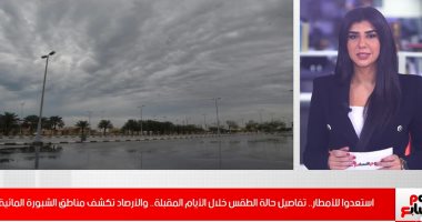 فيديو..الأرصاد طقس معتدل في القاهرة ونشاط رياح وأمطار خفيفة بحلايب وشلاتين