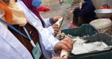 بيطري الشرقية يُحرر 11 محضر مخالفة ويضبط 134 كيلو لحوم وأسماك غير صالحة